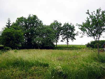 In ruhiger und landschaftlich schöner Lage.<br/><br/>Das Grundstück hat eine Gesamtgröße von 1.038 m².<br/>Das Baugrundstück ist ortüblich erschlossen und es besteht keine zeitliche <br/>Bauverpflichtung. <br/>Bebaubar nach § 34 Nachbarbebauung.<br/><br/>Die nächst größer Ortschaft/Stadt ist Prüm mit ca. 5 km.<br/><br/><br/>Unsere Nachweis- oder Vermittlungstätigkeit erfolgt aufgrund der uns vom <br/>Auftraggeber, Verkäufer oder anderen Auskunftsbefugten erteilten Auskünfte, <br/>so dass für die Vollständigkeit und Richtigkeit dieser Auskünfte sowie aller <br/>Informationen keine Gewähr oder Haftung übernommen wird.